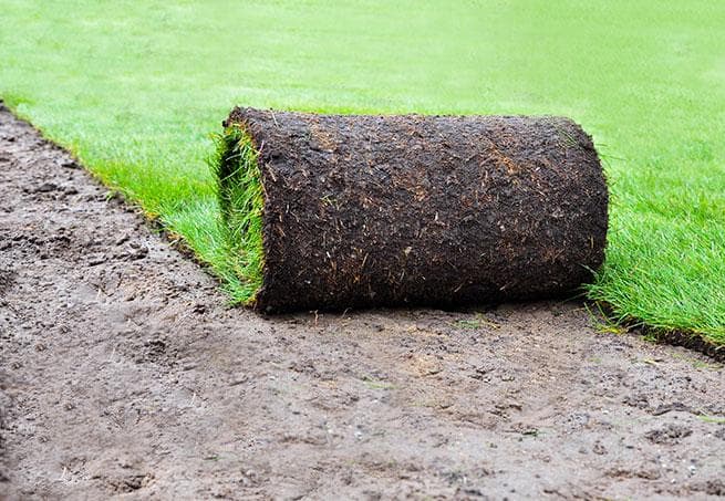 Rollrasen wird verlegt