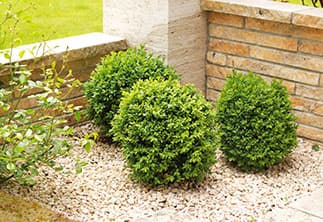 Steinecke mit hellen Steinen