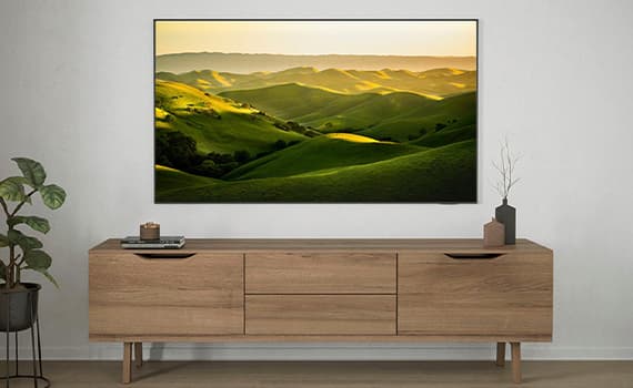 Fernseher
