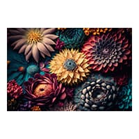 Mehrere bunte Blüten in verschiedenen Formen und Farben dicht nebeneinander angeordnet