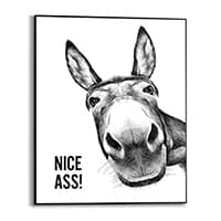NICE ASS! – Schwarz-weiß Zeichnung eines Esels, der direkt in die Kamera schaut