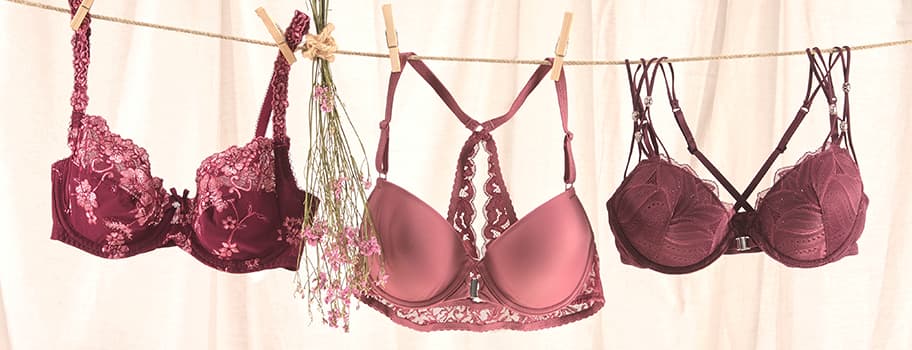 Drei bordeauxrote BHs mit verschiedenen Designs hängen an einer Leine vor einem beigen Hintergrund, daneben ein Strauß Trockenblumen.