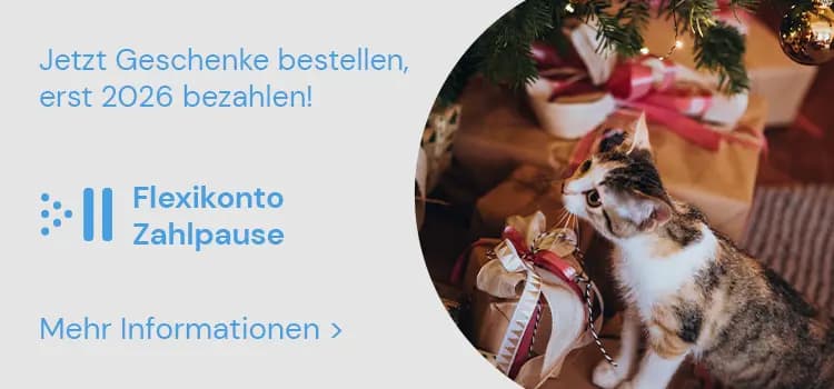 Jetzt Geschenke bestellen, erst 2026 bezahlen! Flexikonto Zahlpause – Katze beschnuppert Weihnachtsgeschenke unter dem Baum